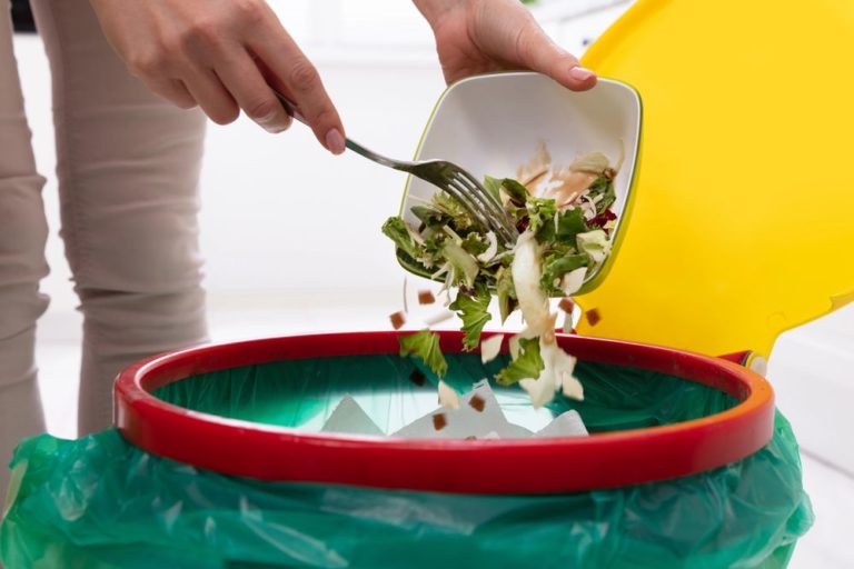 La cuisine des restes