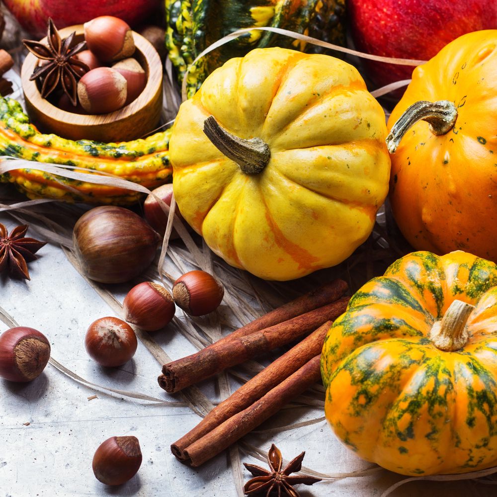 menu automne